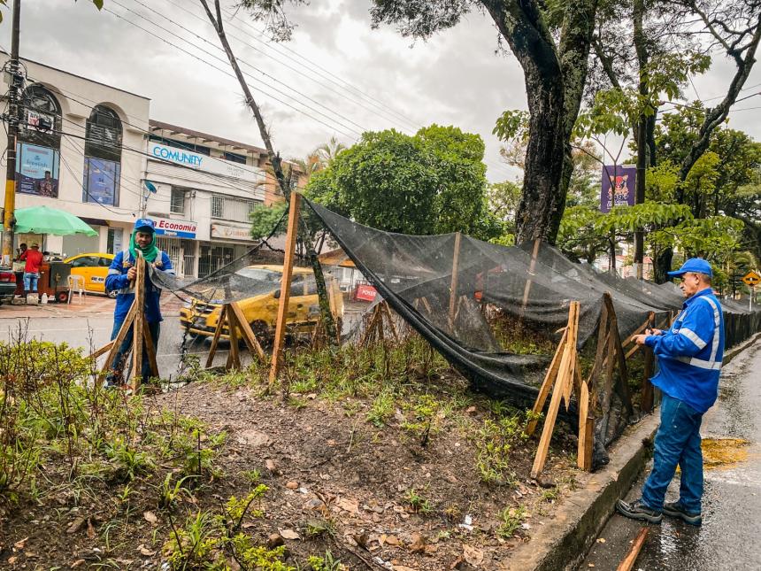 Falta de cultura ciudadana, un mal que afecta a Ibagué