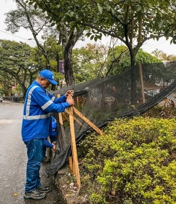 Trabajador de Ibagué Limpia instala una malla de protección vegetal en un separador vial rodeado de árboles y arbustos