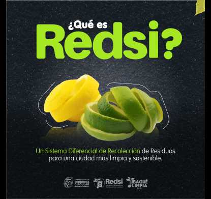 💭 Do you remember REDSI? 🚮 The strategy implemented in the Zona G