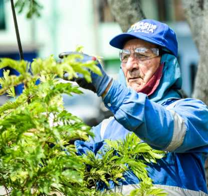 Thanks to the pruning efforts ✂️ of our Little Blue Soldiers, the Biosaludable park in Villa del Sol is now a cleaner