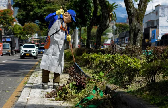 📲 It's circulating on social media that the work we do on the median strip of Carrera Quinta goes against our duty to promote environmental 