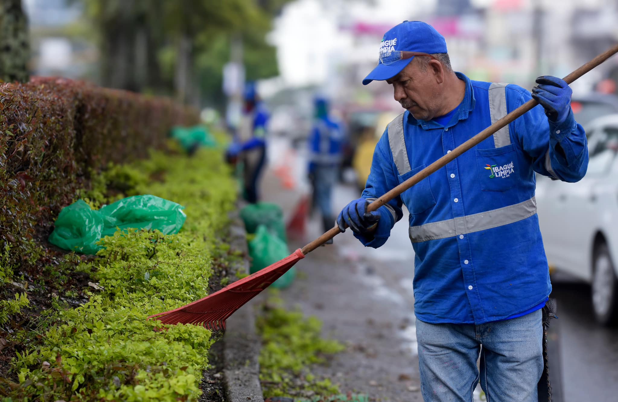  ¡No se dejen ENGAÑAR! Aquí te contamos el verdadero estado del ornato del separador de la carrera Quinta. 🛣️