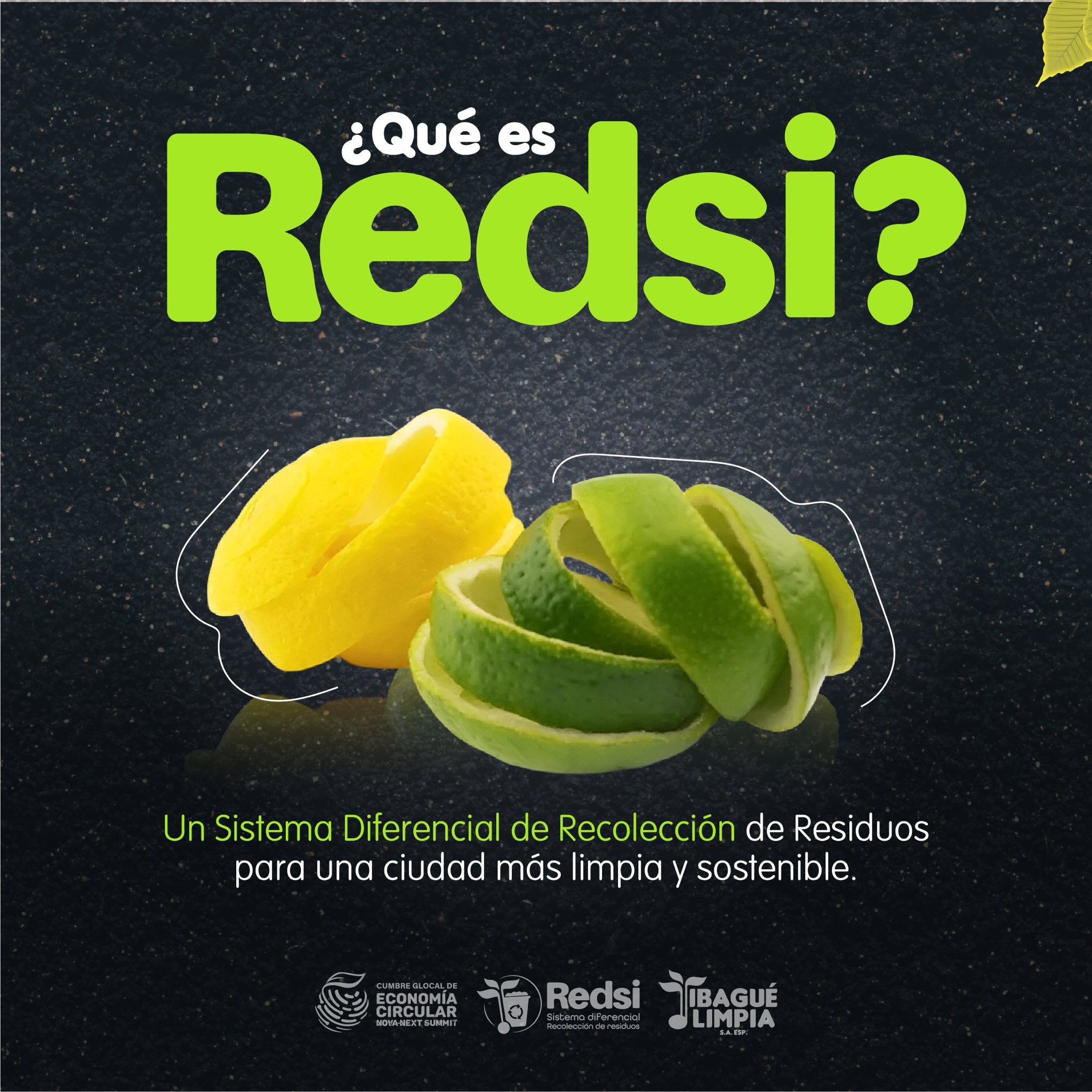 💭 ¿Recuerdas a REDSI? 🚮 La estrategia implementada en la Zona G 👩🏻‍🍳
