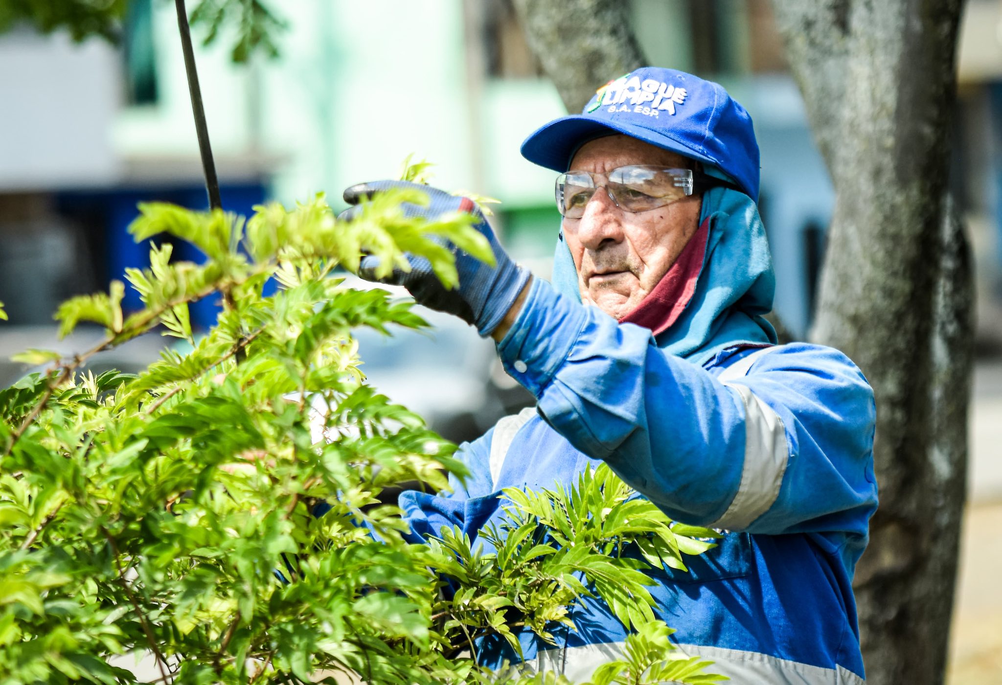 ✨ Gracias a las labores de poda ✂️ de nuestros Soldaditos Azules, el parque Biosaludable de Villa del Sol ahora es un entorno más limpio