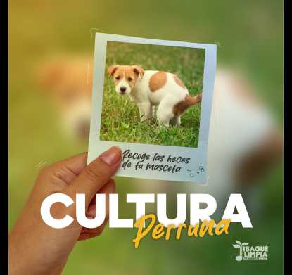 Qué esperas para sacar tu cámara y tomar estas 5️⃣ postales 