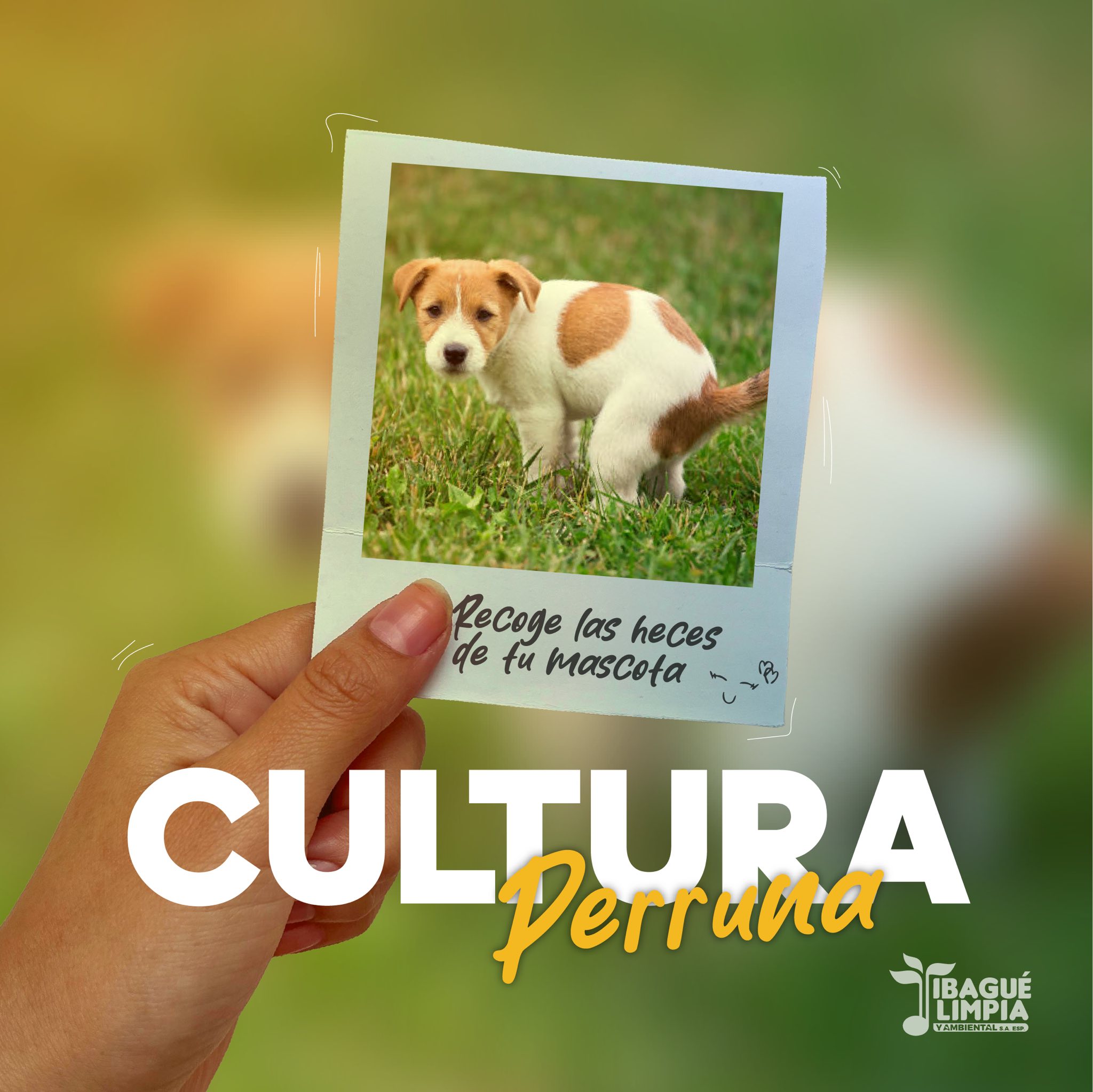 Qué esperas para sacar tu cámara y tomar estas 5️⃣ postales 