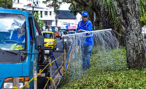 👨🏻‍🌾 Continuamos con la recuperación del ornato del separador de la carrera Quinta, previo al inicio del 52° Festival Folclórico Colombiano. 👒🎶