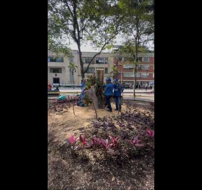 La Plaza de Bolívar florece con un regalo de Ibagué Limpia y Ambiental