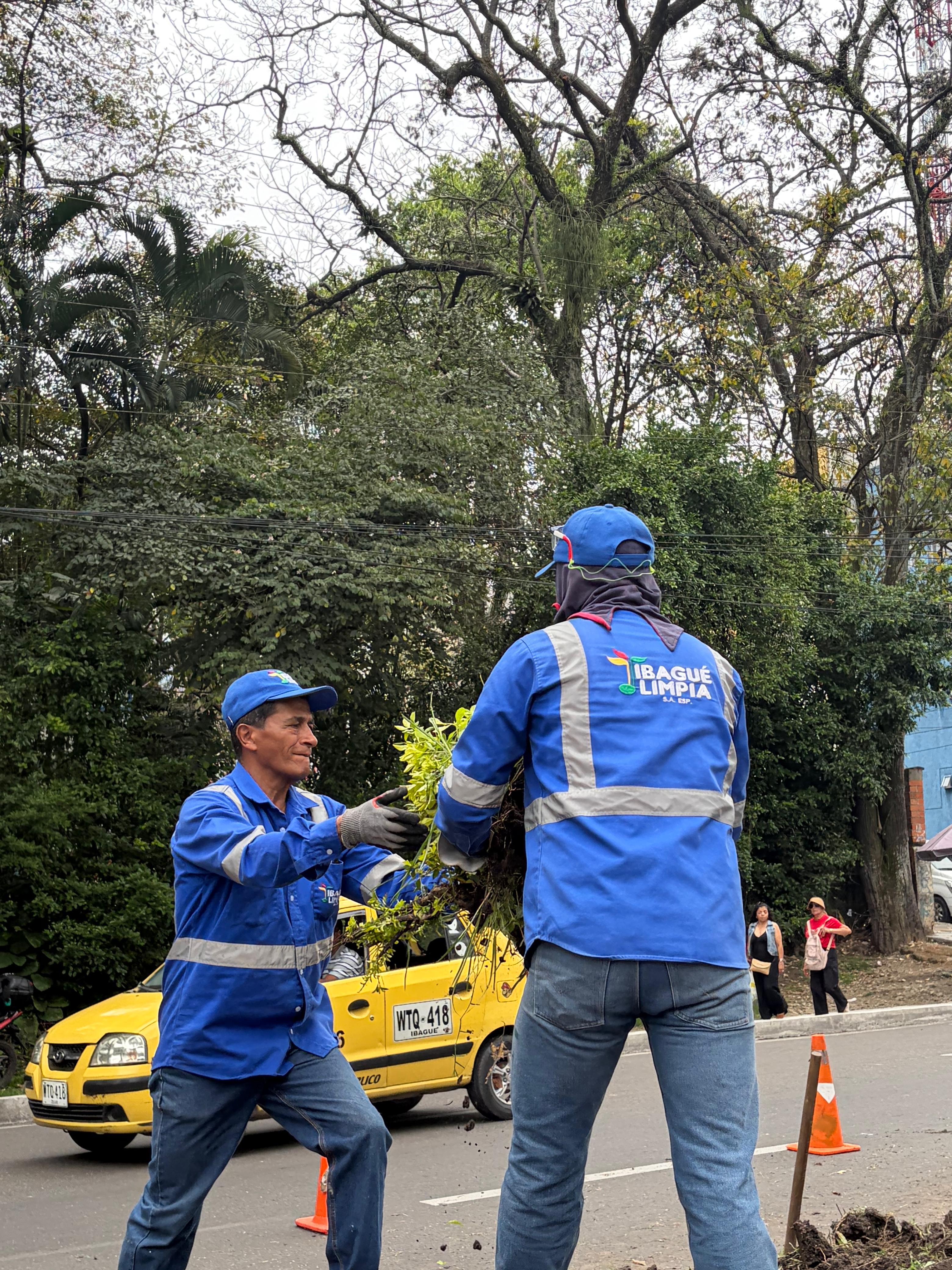 Empresarios se unen a la Alcaldía de Ibagué e Ibagué Limpia y Ambiental para transformar las zonas verdes de la ciudad